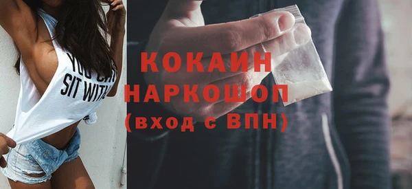 прущие грибы Магадан