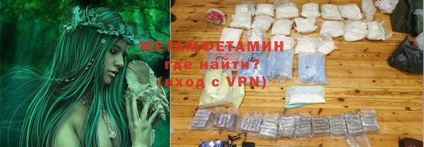 прущие грибы Магадан