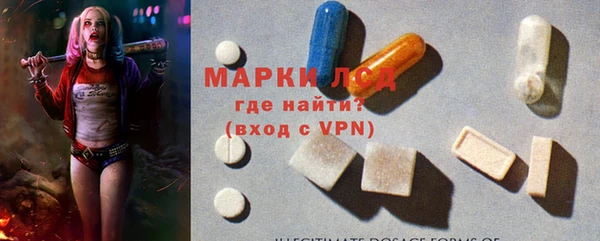 прущие грибы Магадан