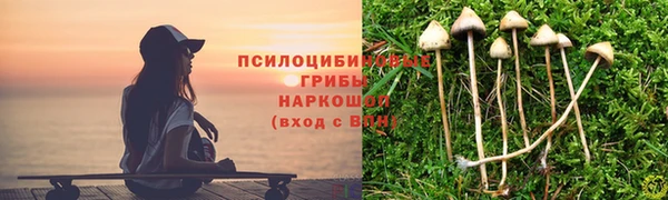 бутират Майский